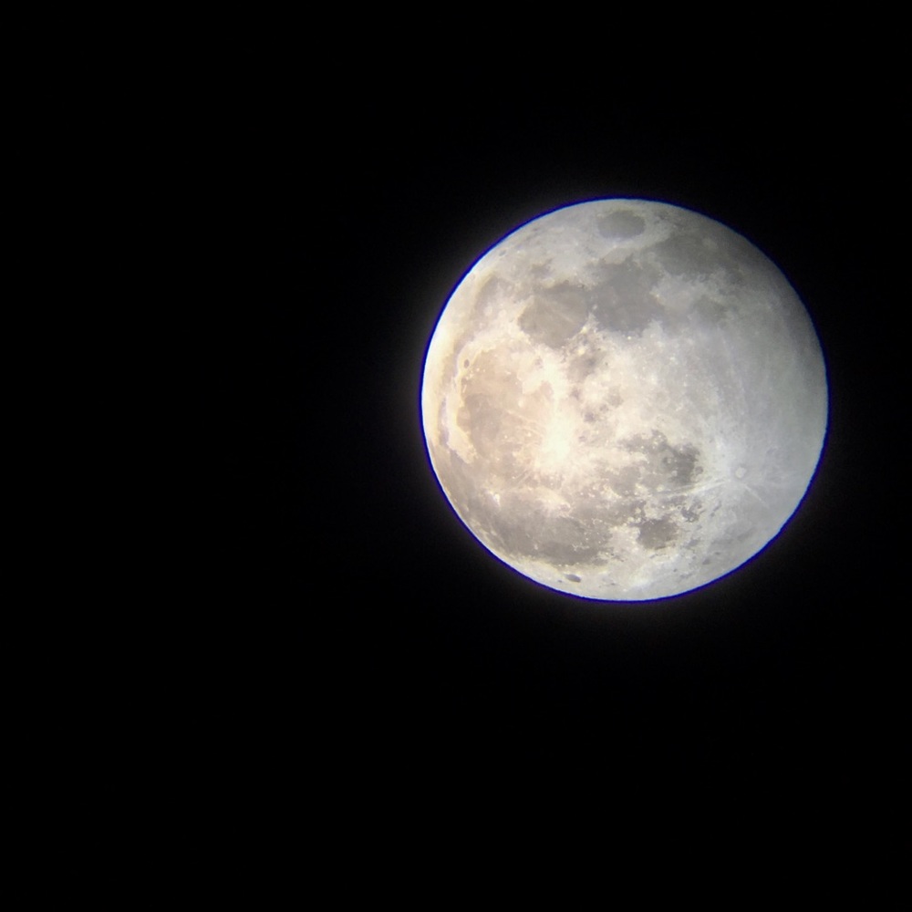 Meet your Posher, Meghan